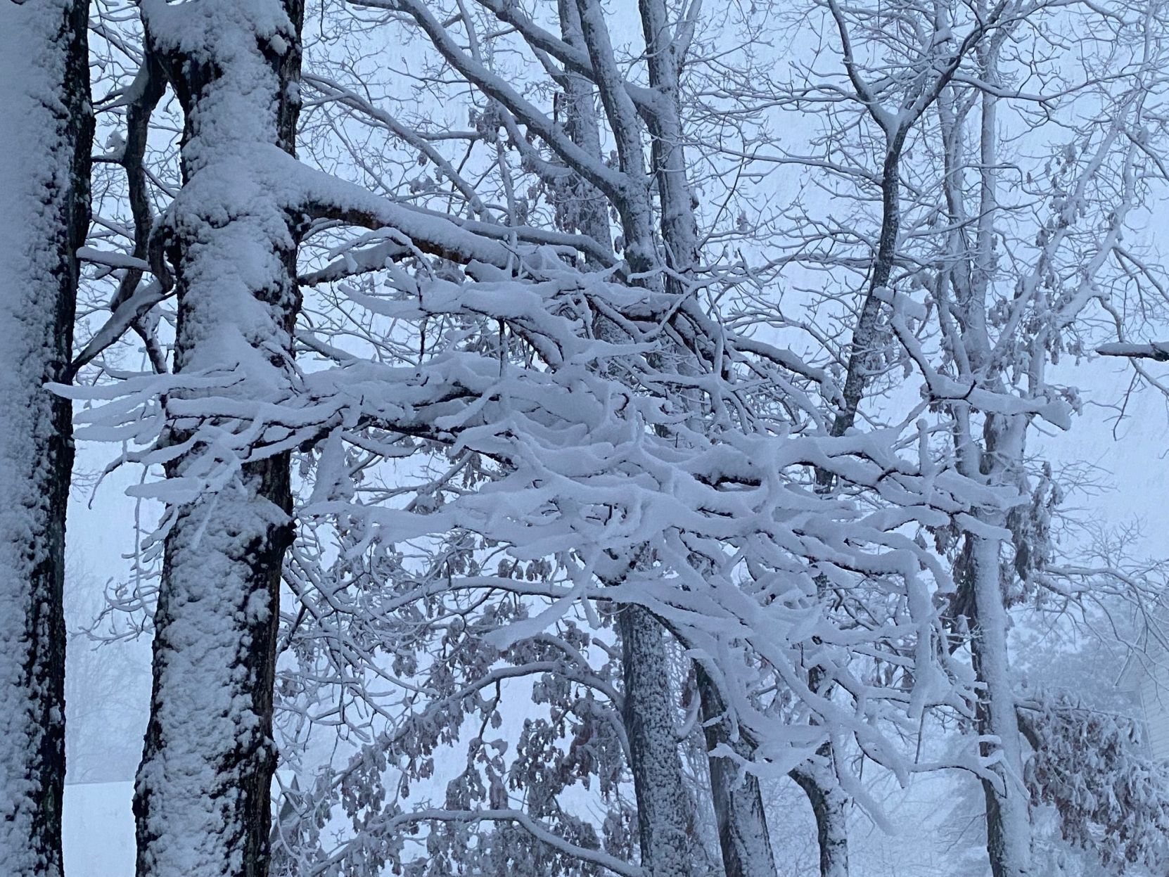 Snow
